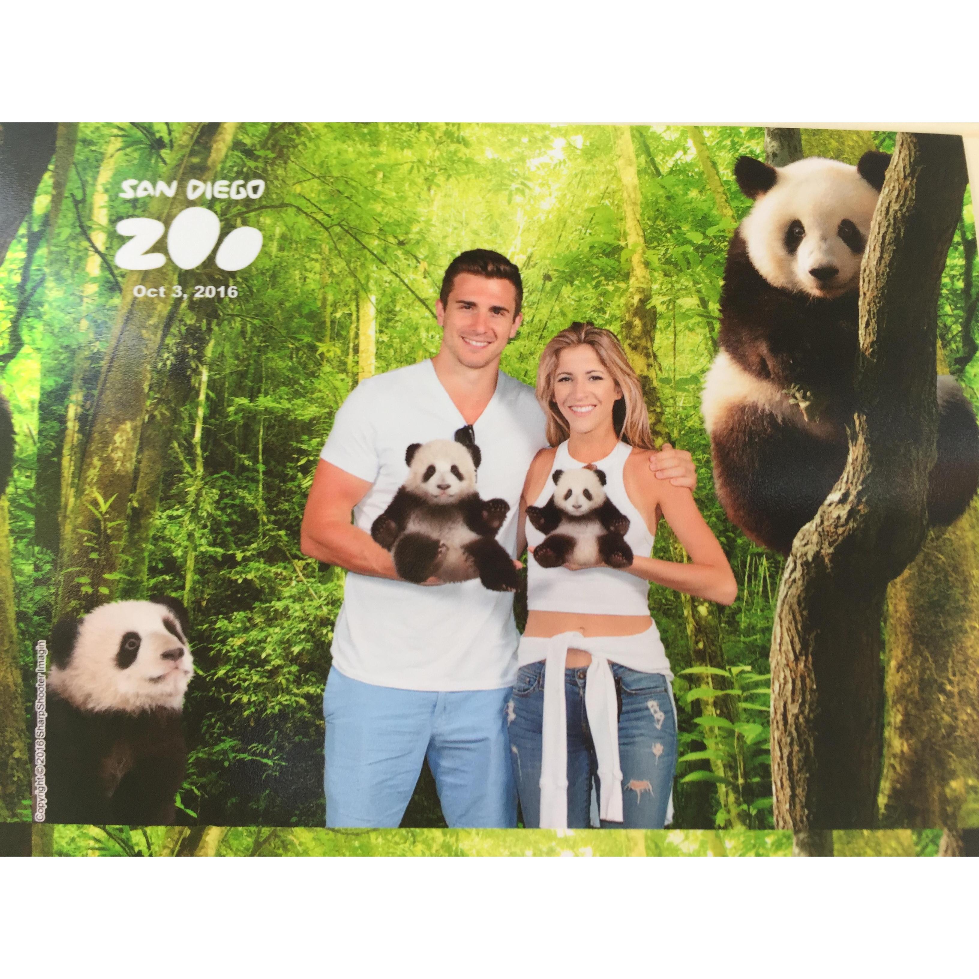 San Diego Zoo, with the Pandas