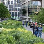 The High Line