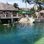 Dolphin Discovery Riviera Maya