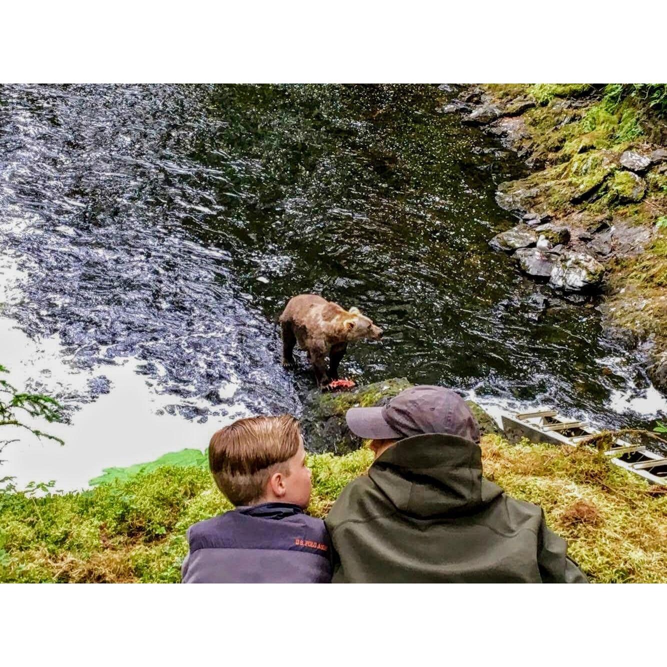 Up close and personal with the bears #KodiakLife