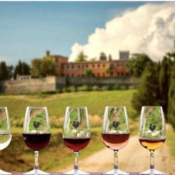 Private Wine Tour in Tuscany