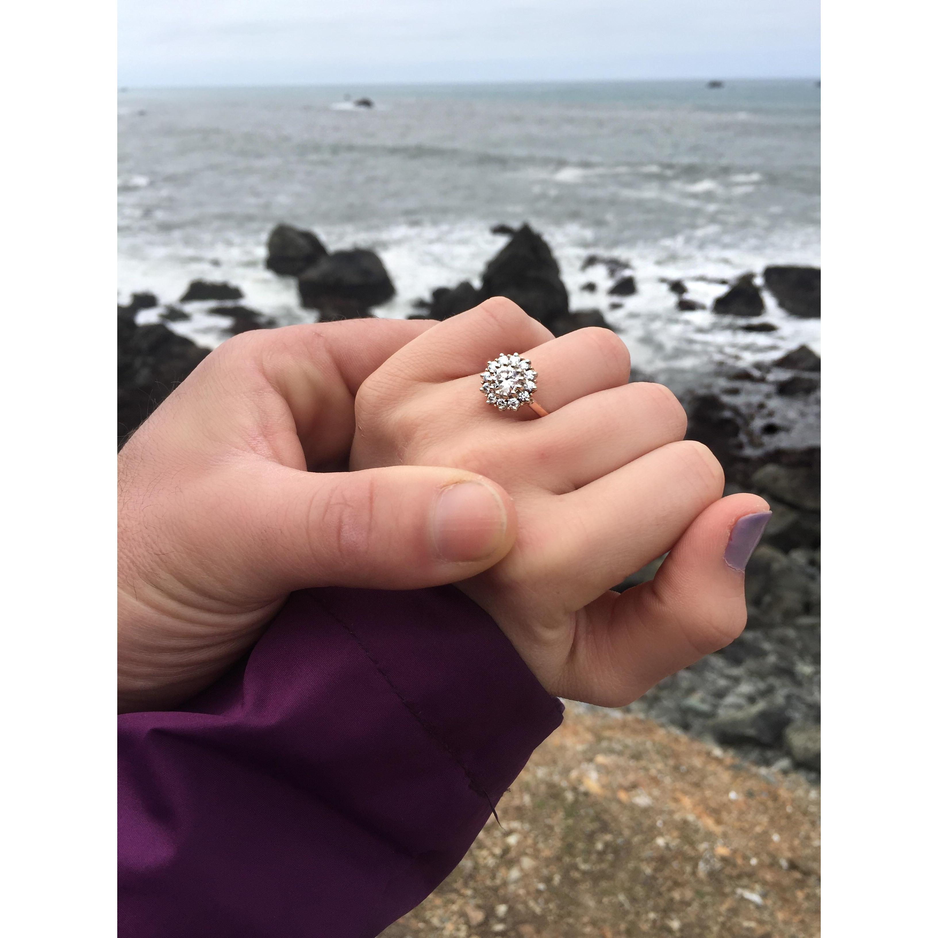 Patrick's Point; April 13, 2019.