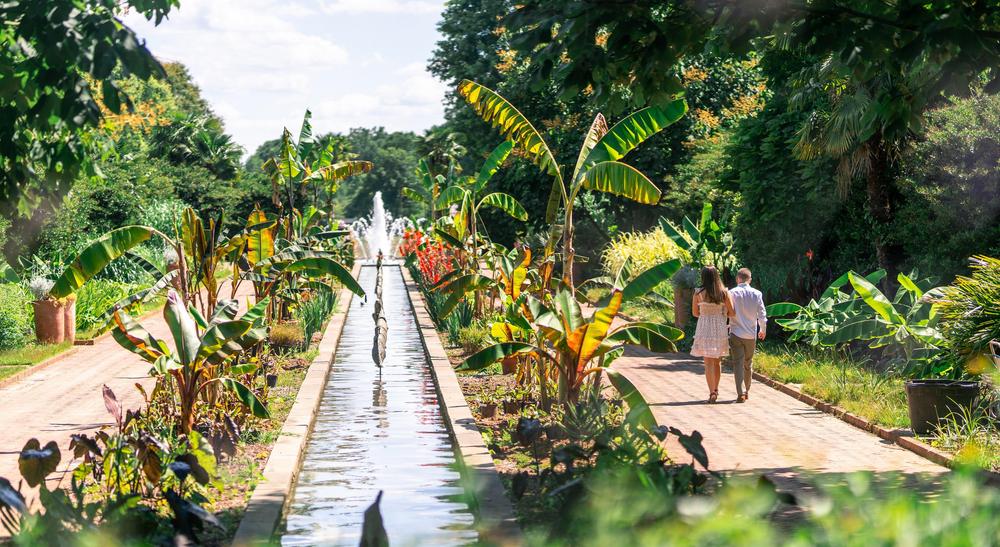 Brittany Vaughn and Kyle Carpenter's Wedding site