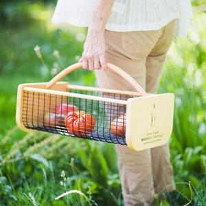 Maple Garden Carry-all
