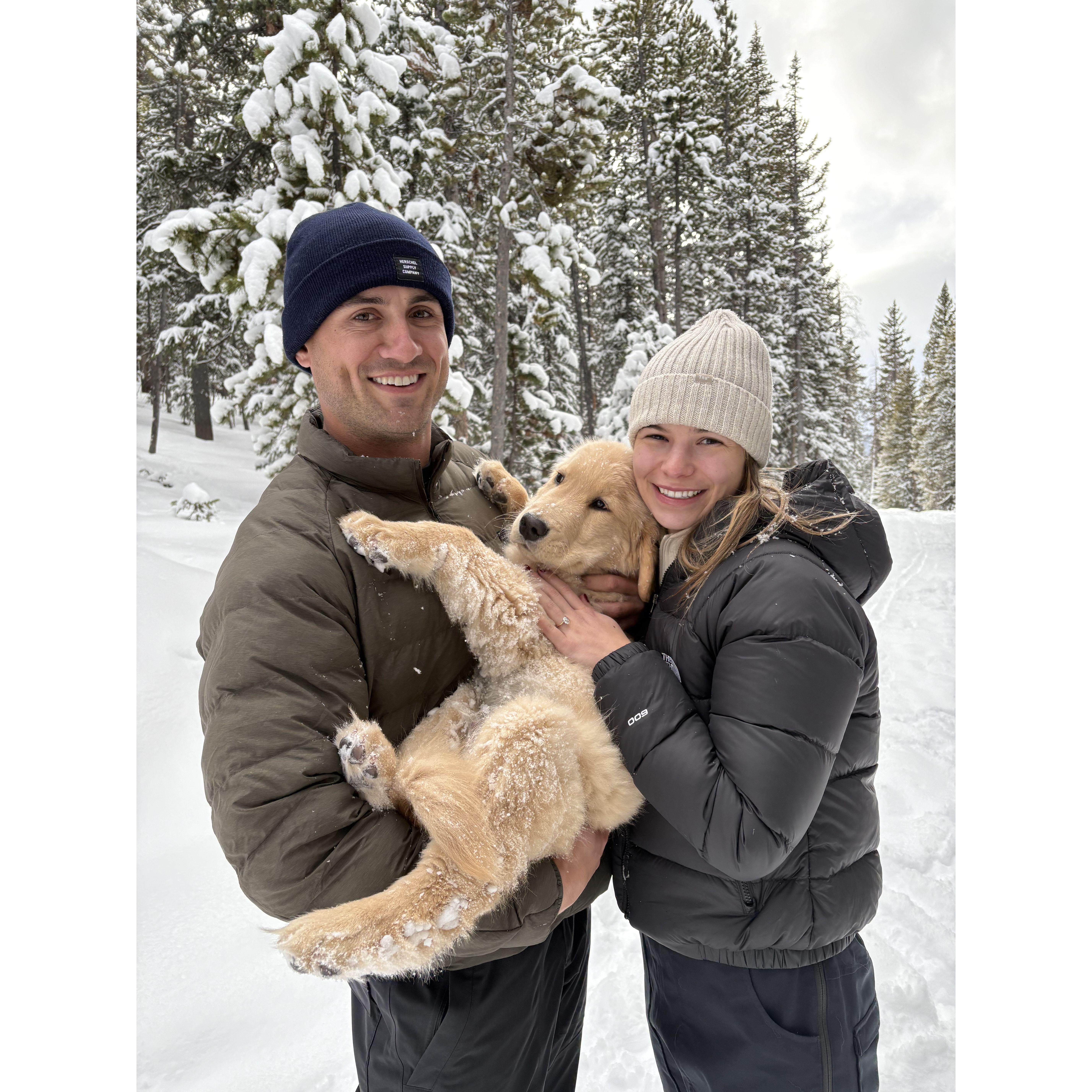 Engagement, December 2024 with our puppy Deacon