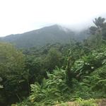 El Yunque National Forest