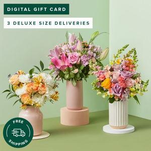 Bouqs eGift Subscription: 3 Months of Flowers