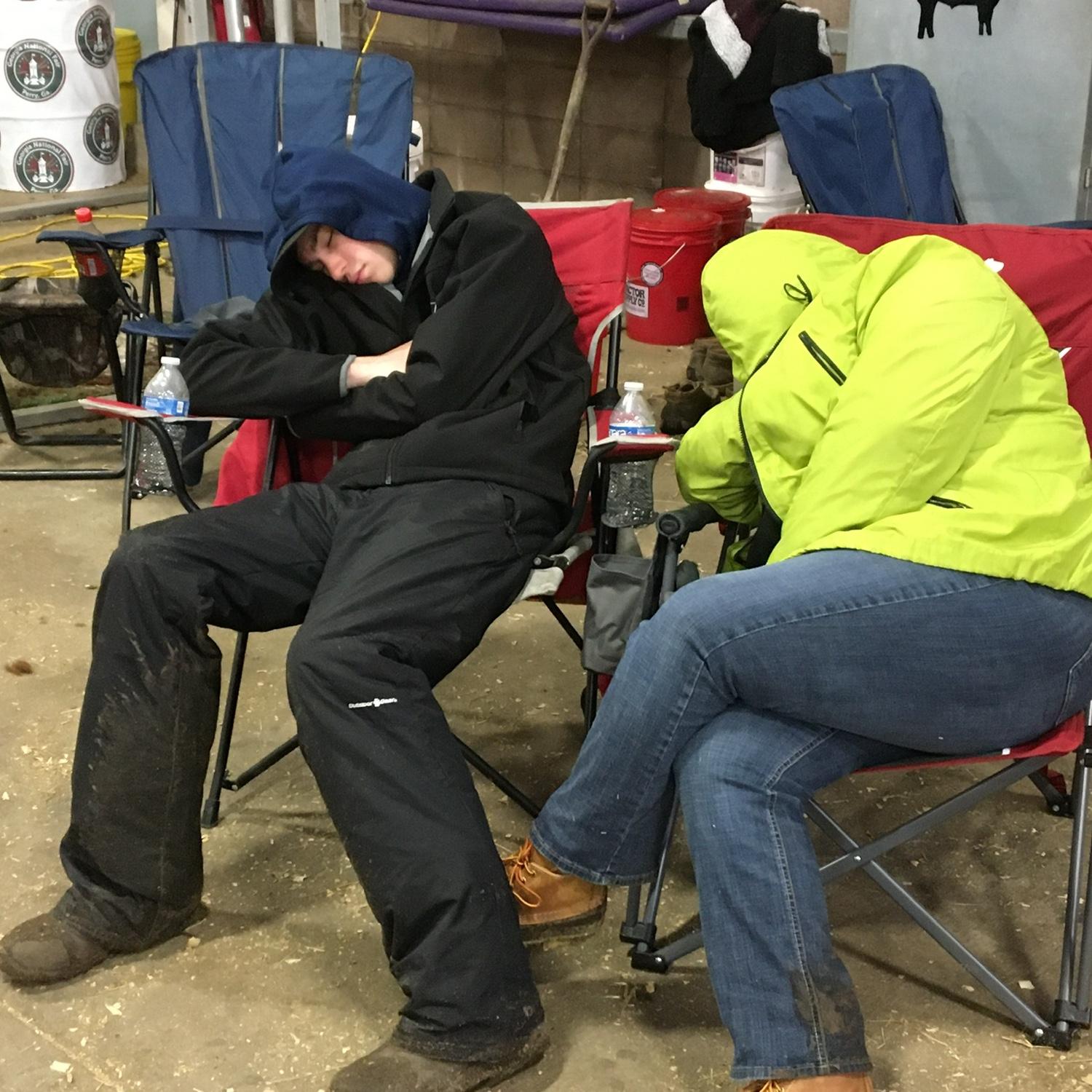 Lexi’s first state show in Perry, Ga. Early mornings and freezing weather were not on the bingo card! 2/2020