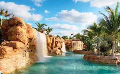 The Wedding Website of Chizelle Onochie and Marshall Mbwille