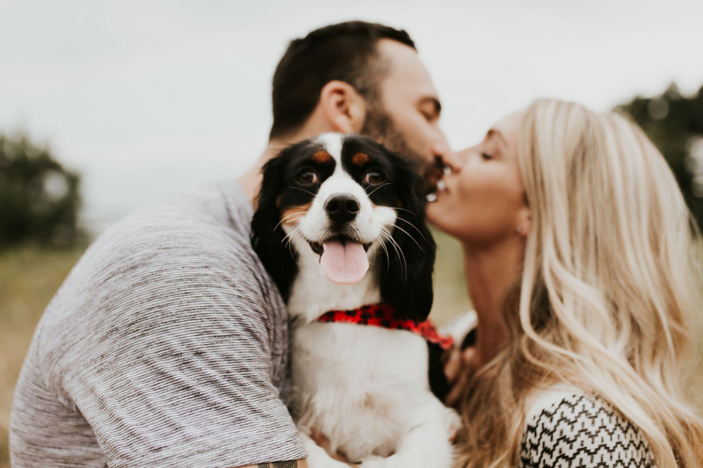 The Wedding Website of Abigail Pallotta and Steven Snyder