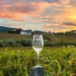 Dutcher Crossing Winery