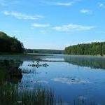 Black Moshannon State Park