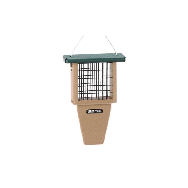 Birds Choice REC SNG CKE TAIL PRP SUET