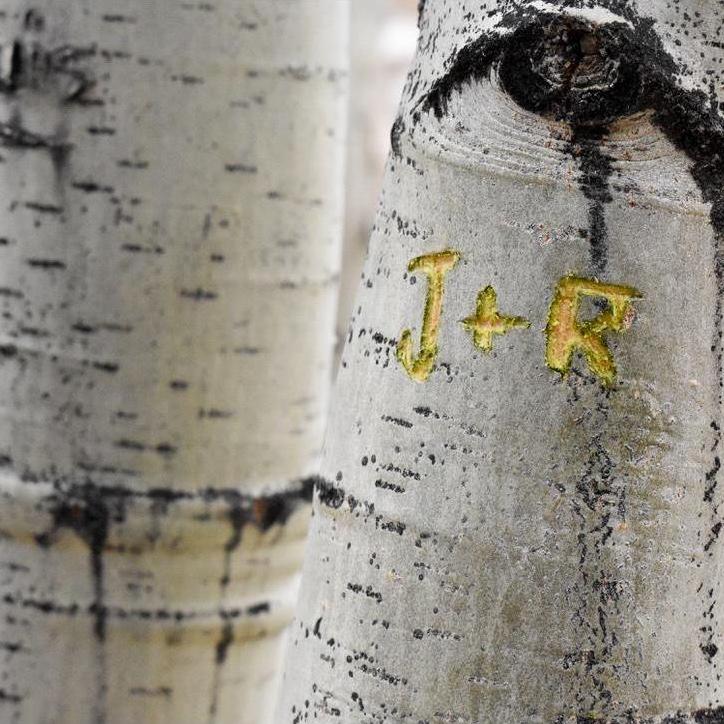 We decided to leave our mark in Colorado.