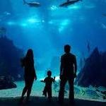 Waikiki Aquarium