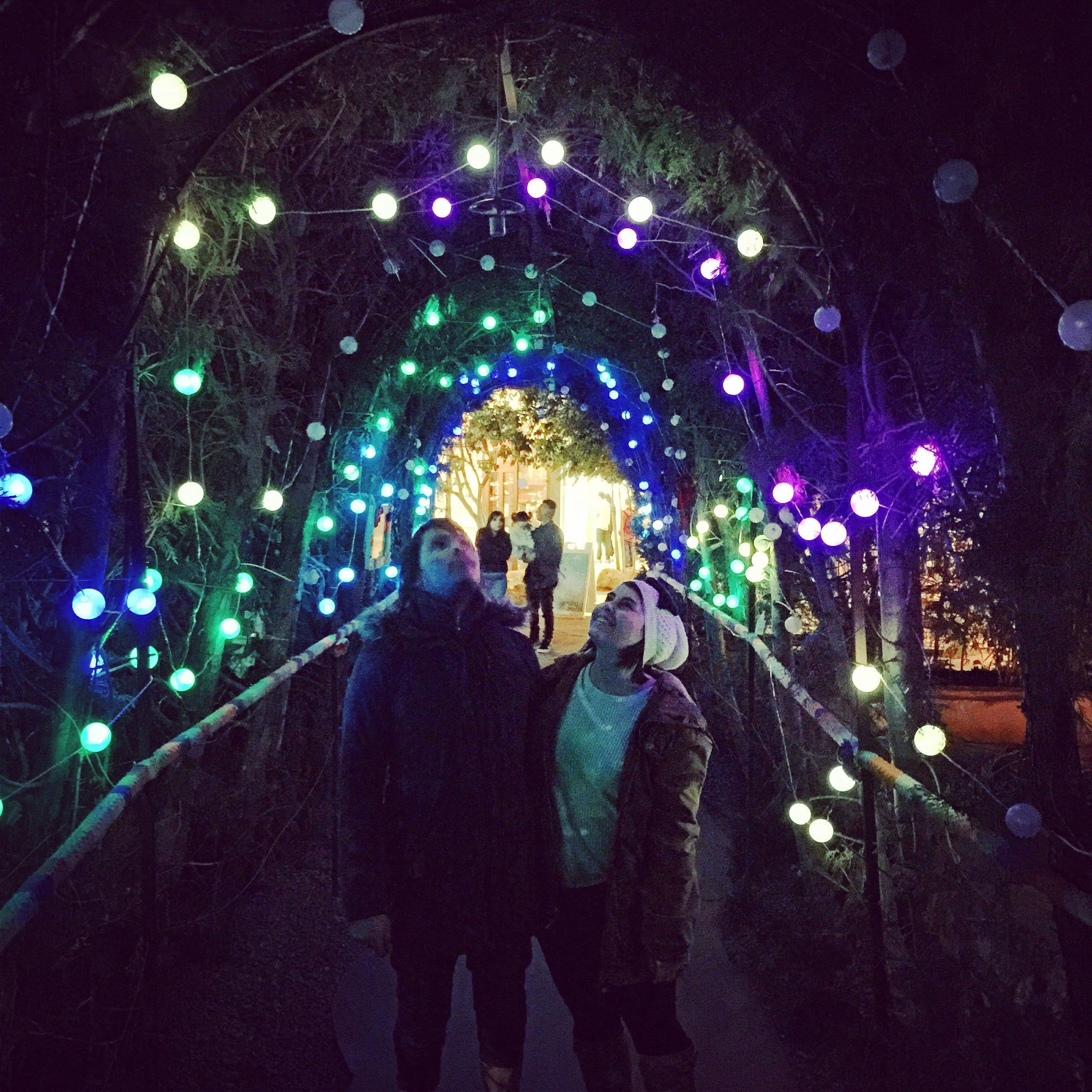 The Lab at Christmas Time 2015