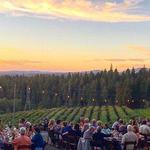 Edio Vineyards at Delfino Farms