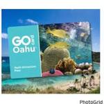 All inclusive passes