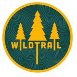 Bike Ride in the redwoods with Wild Trail tours