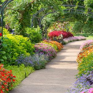 1 Year Membership | Cheekwood Estate & Gardens