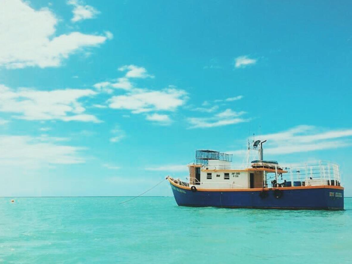 Honeymoon excursions
