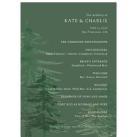 Program