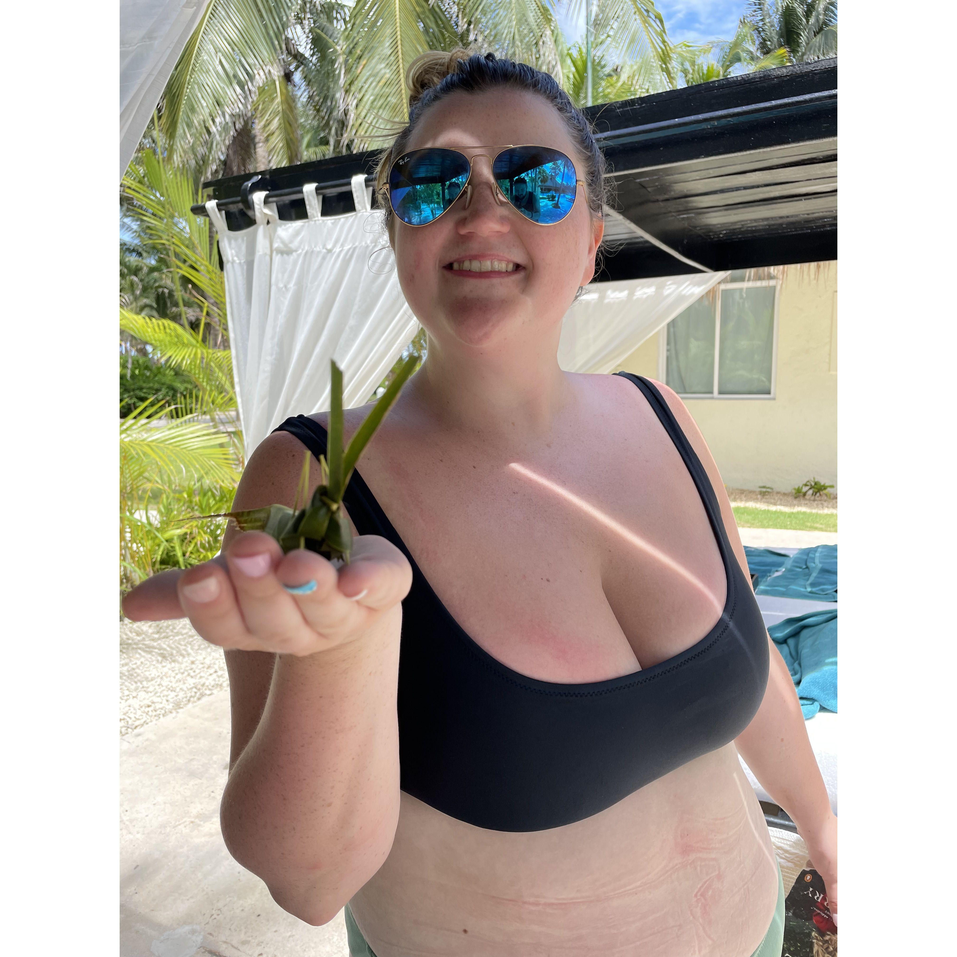A bug made out of a leaf on our vacation
