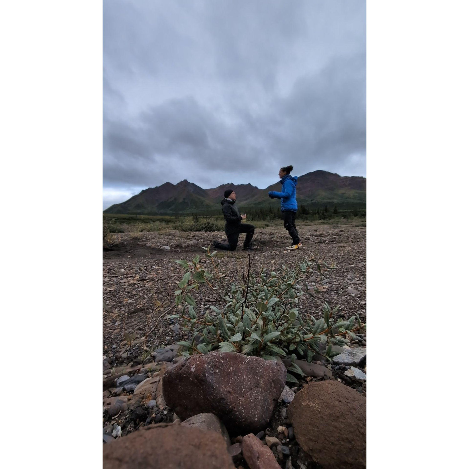 100000% YESSSS (engagment in Denali National Park Alaska