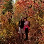 Stewart Falls Trail