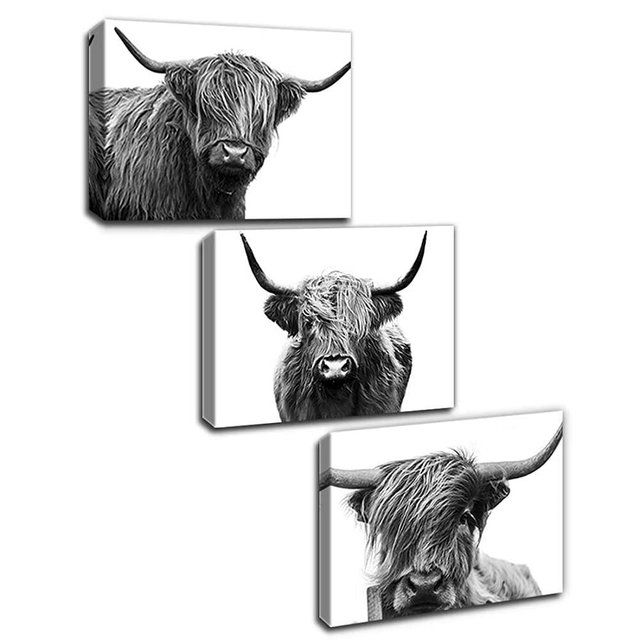 Gardenia Art Scottish Cow Canvas Print Animal Painting Wall Art for Living Room pet Shop Zoo Decoration 12x16 inch/Piece, Framed, 3 Panels