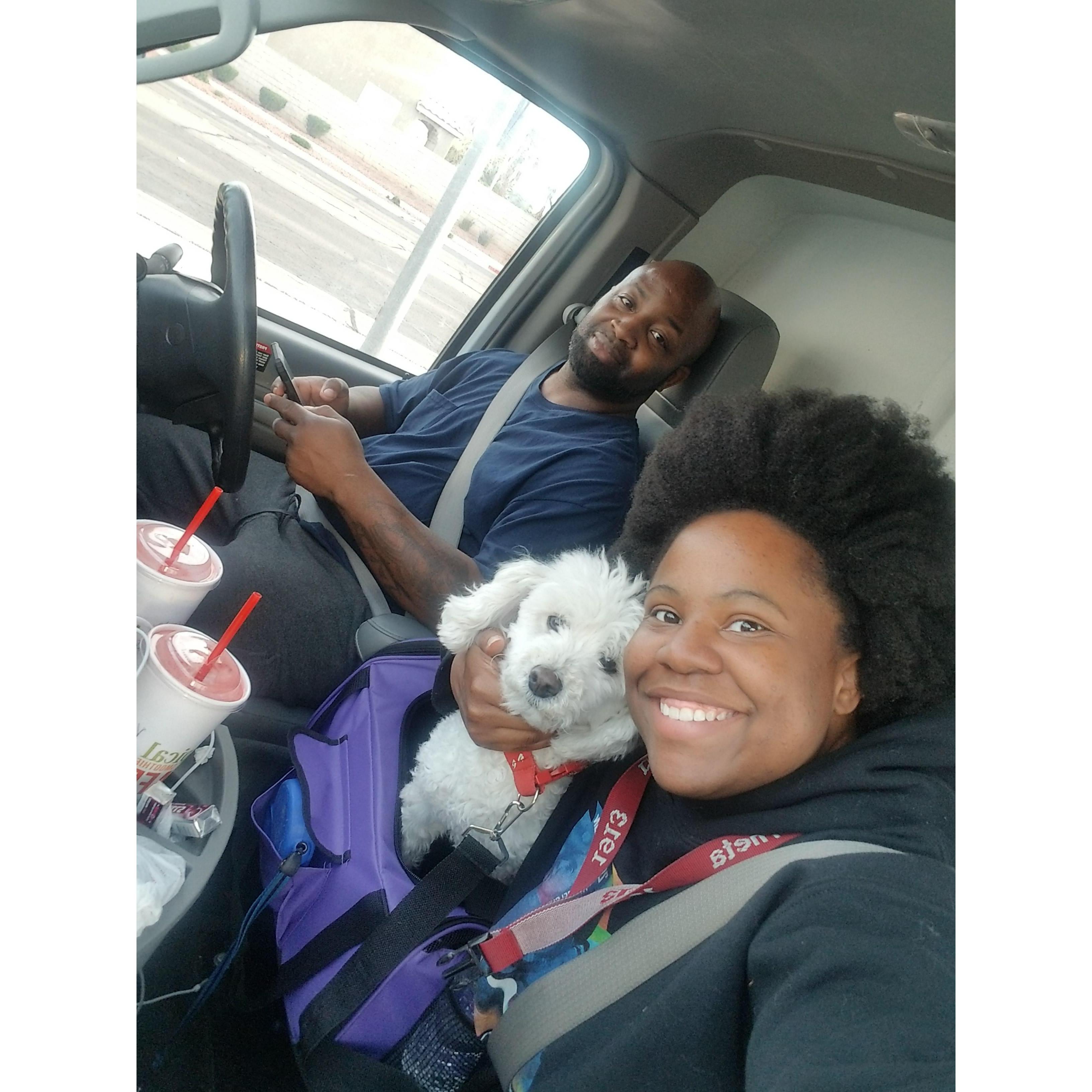 Moving Bella and Keyy To Reno 2020