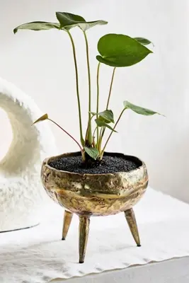Burnished Tripod Bowl Planter