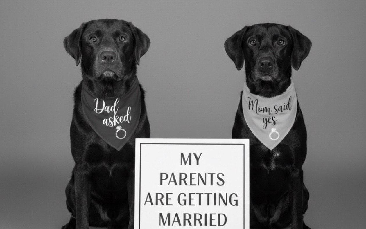 The Wedding Website of Gia Cozzi and Trevor Rakow
