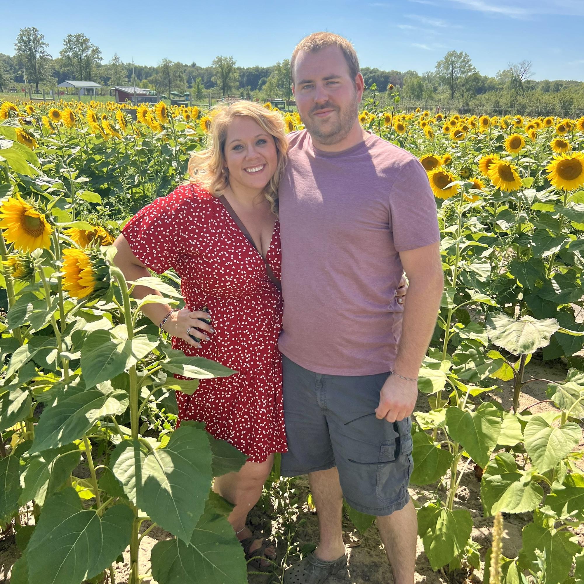 Sunflower Picking September 2023