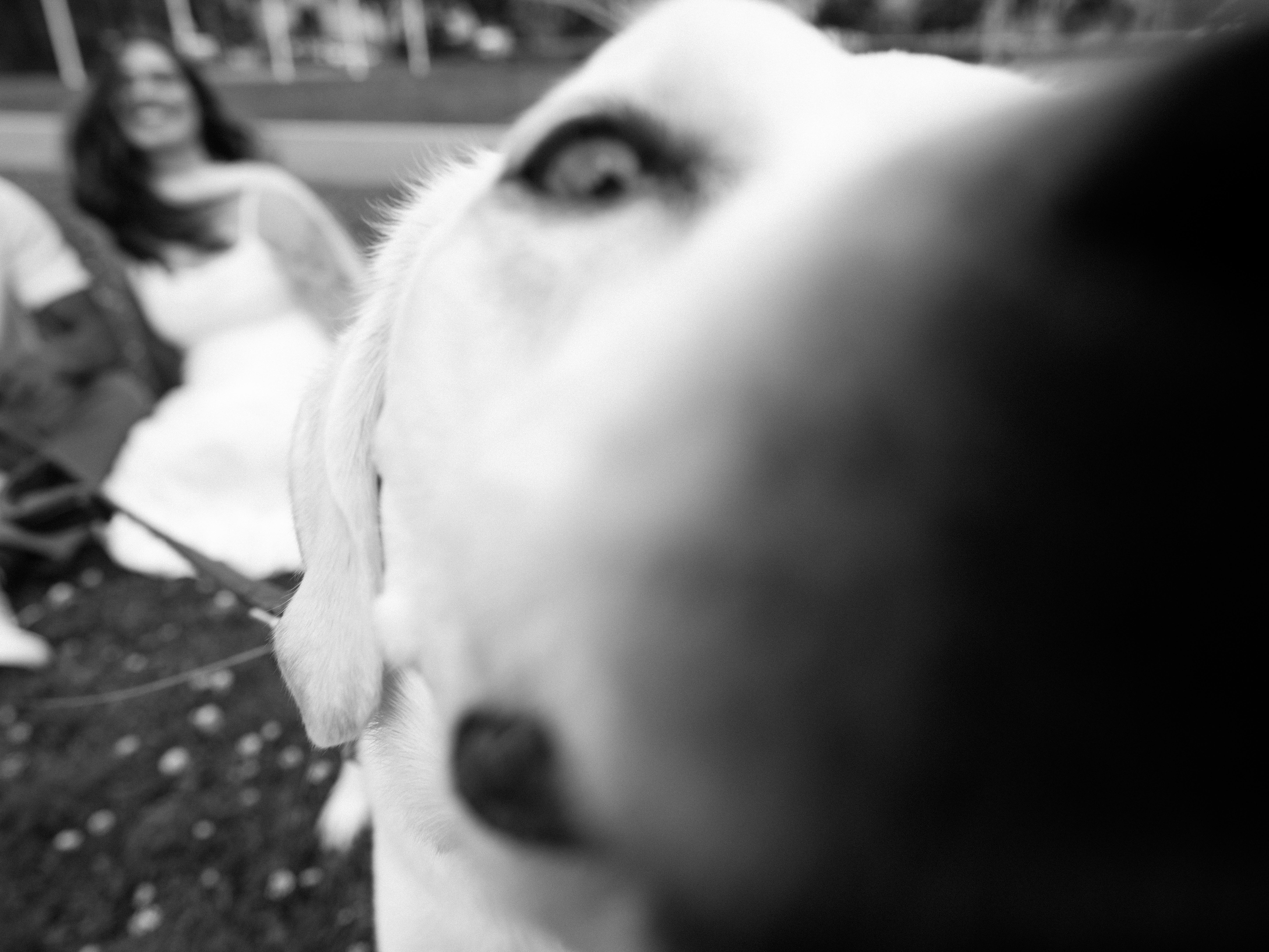 The Wedding Website of Kaitlin Grosgebauer and Nikhil Tellakula