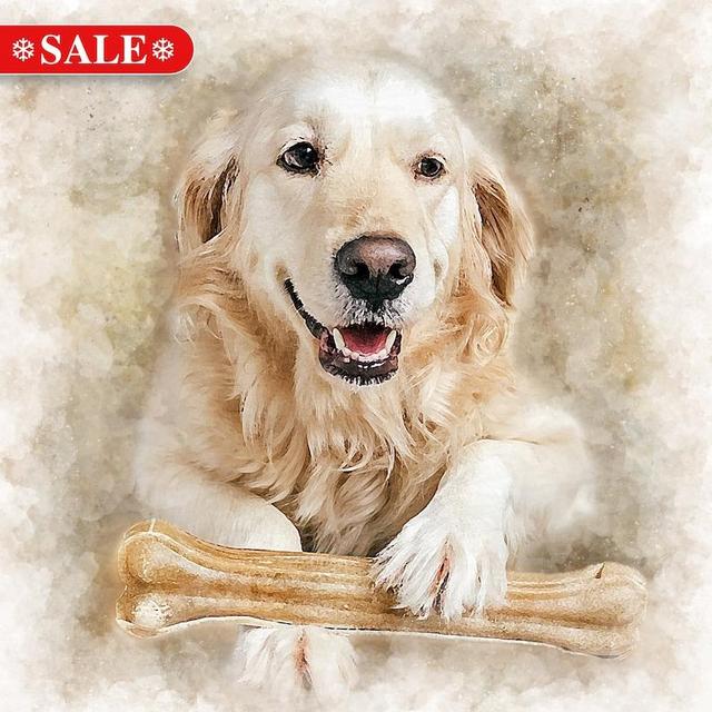 Custom Watercolor Pet Portrait, Portrait From Photo, Personalized Gift, Painting from Photo, Pet Memorial, Dog Portrait, Gift for Her