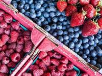The Downtown Farmers’ Market of Fort Pierce, Inc.