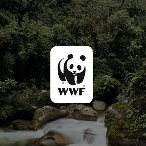 Protect Wildlife and Nature | Donate to World Wildlife Fund