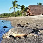 Kaloko-Honokohau National Historical Park