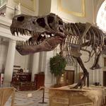 Smithsonian National Museum of Natural History