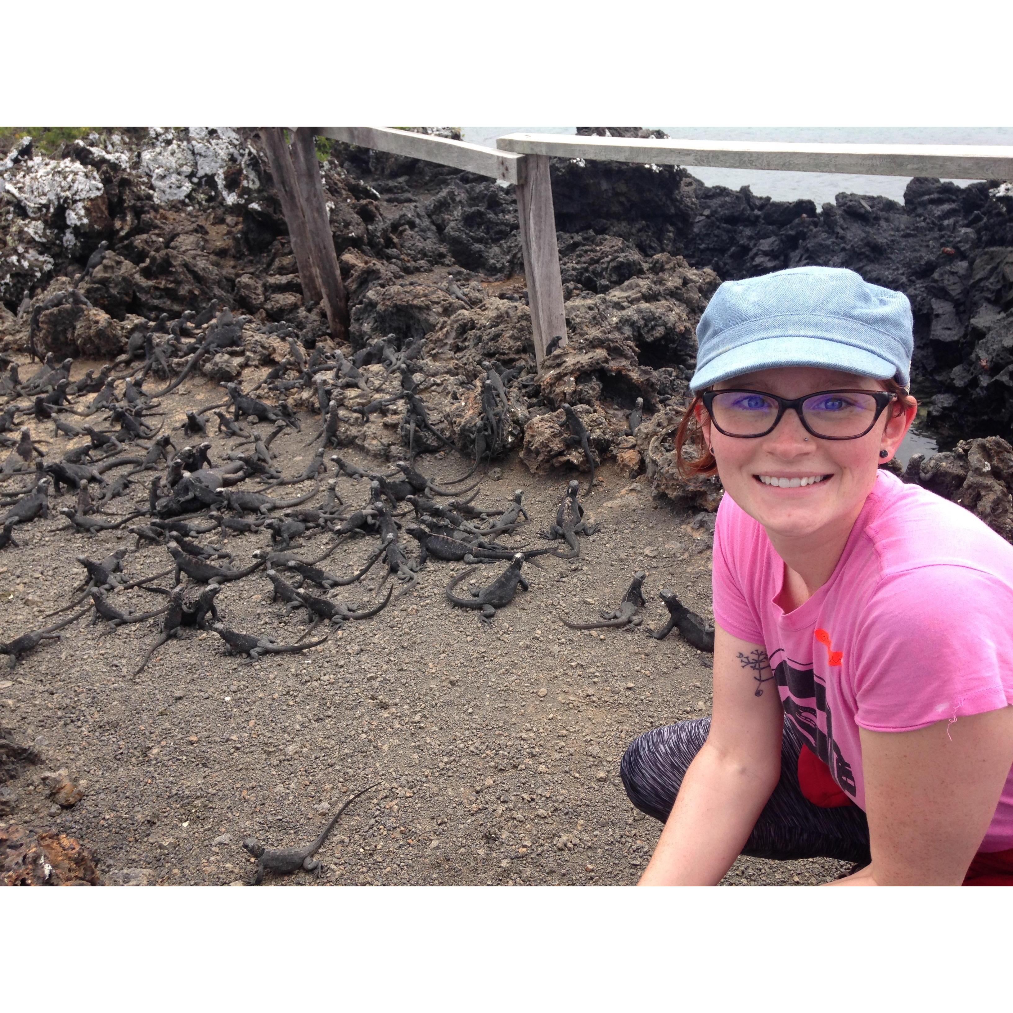 LIZARDDSSSSSS-.... well, technically marine iguanas :)