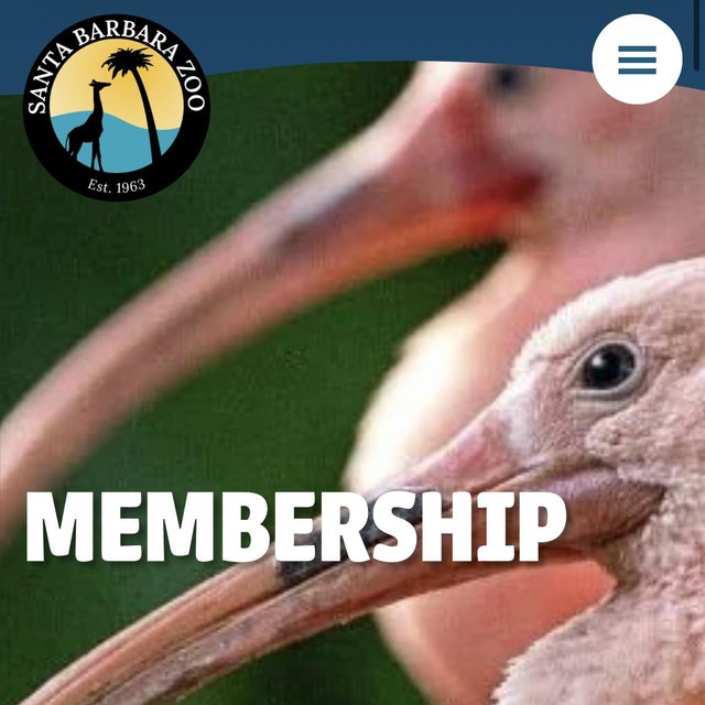 Dual Plus Zoo Membership