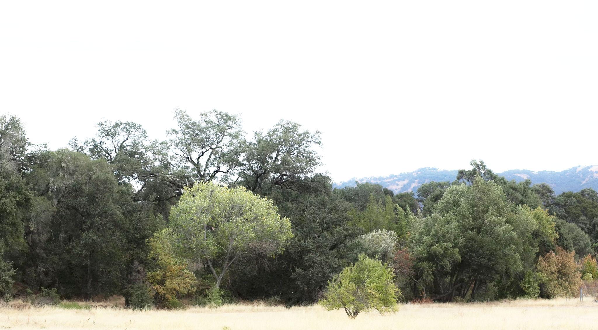 The Wedding Website of Kelsey Rosen and Ian Cook