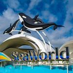 SeaWorld San Diego