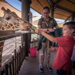 Utah's Hogle Zoo