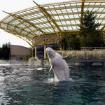 Mystic Aquarium