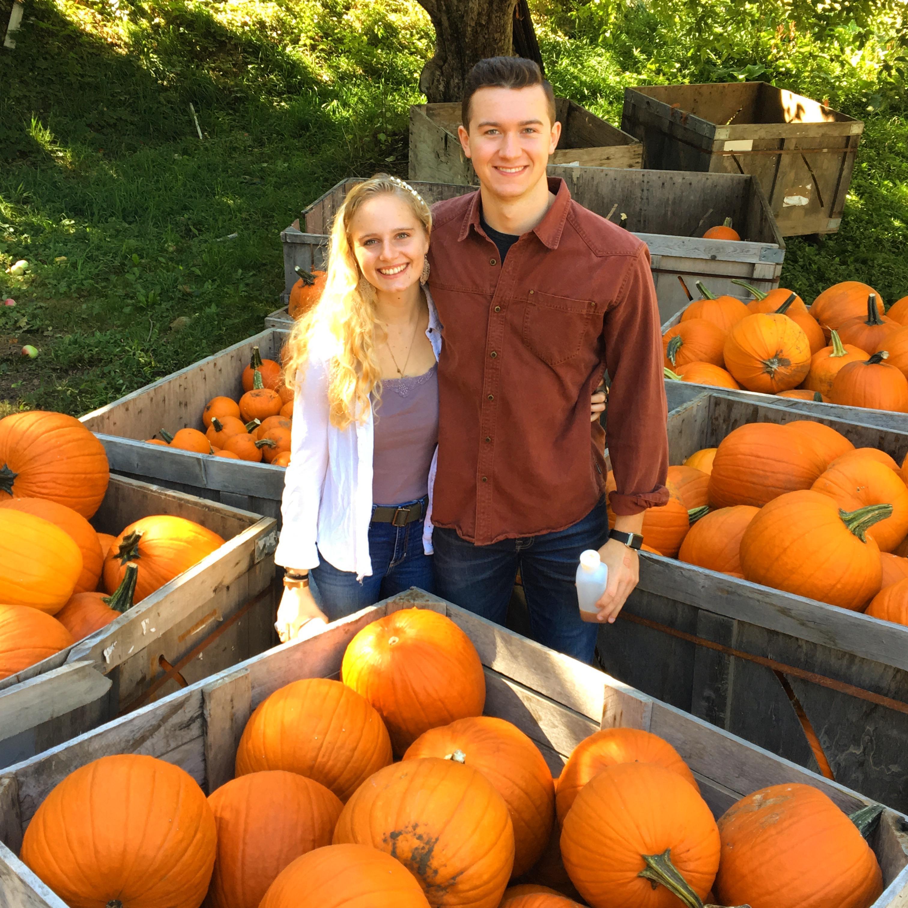 Pumpkin picking. (2016)