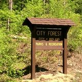 Midland City Forest