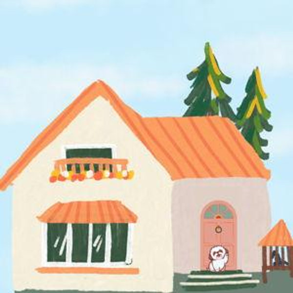House Fund (Credit Card)