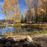 Yampa River Botanic Park